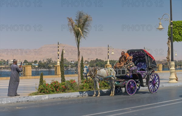 Horse-drawn carriage