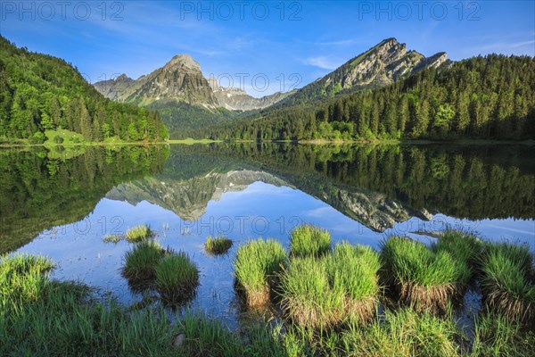 Obersee