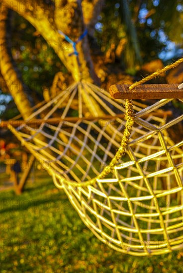 Hammock hanging between palm trees