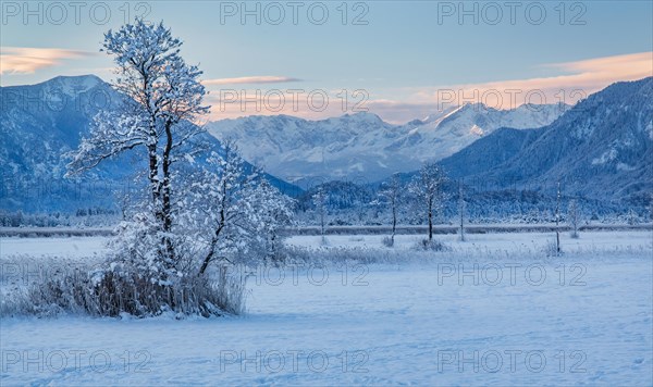 Winter landscape in the Murnauer moss with the Alpspitze 2628m in the Wetterstein Mountains