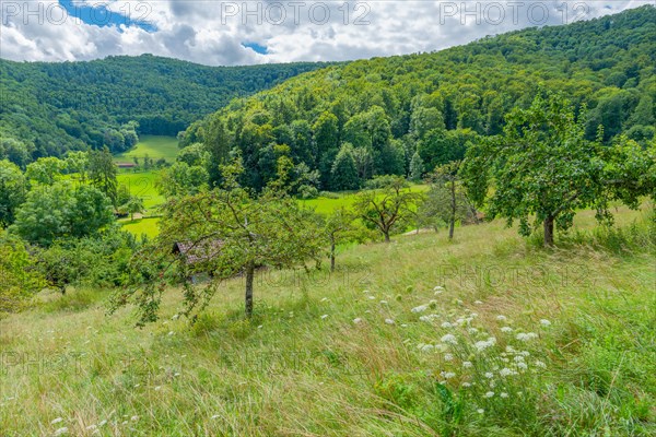 Hinteres Maisental landscape conservation area