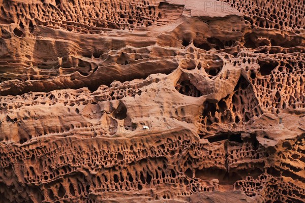 Red mottled sandstone in the Dahner Felsenland