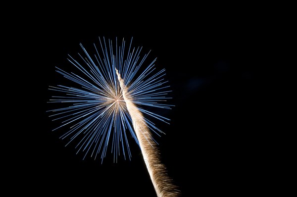 Fireworks during Trinity Days