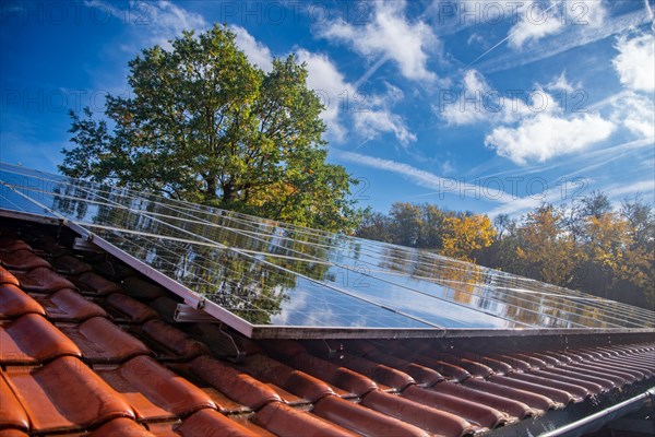 Wet photovoltaic modules after a rain shower on a tiled roof with a tree in the background against a blue