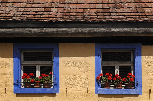 Window with geraniums on the Haeckerhaus built in 1717