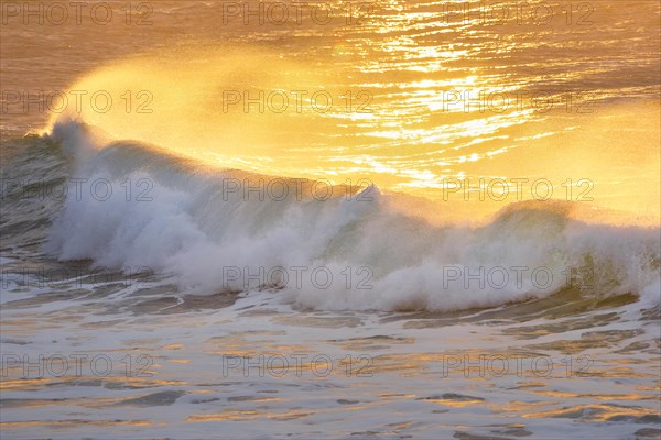 Large wave backlit