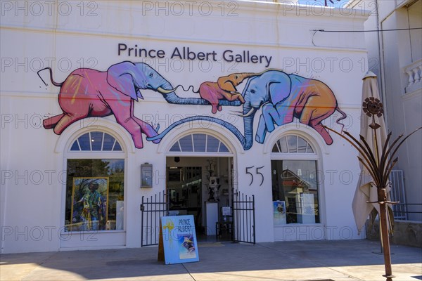 Prince Albert Gallery