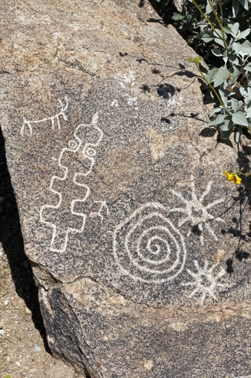 Petroglyphs created by the Hohokam Indians