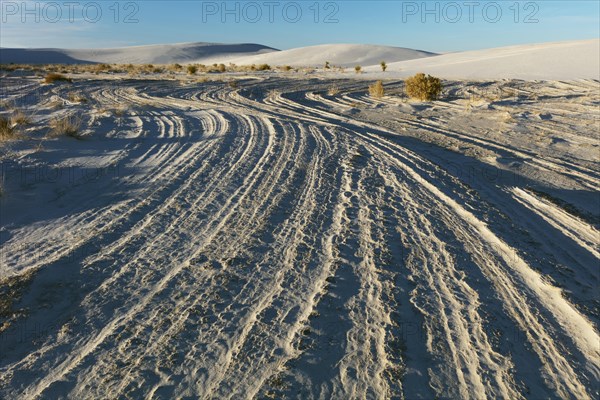 White Sands National Monument