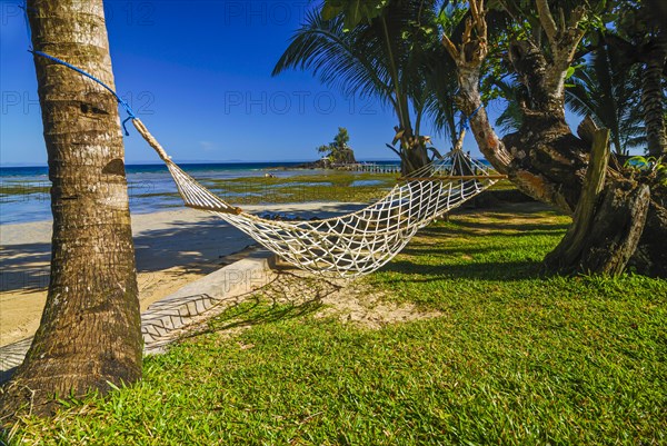 Hammock hanging between plam trees