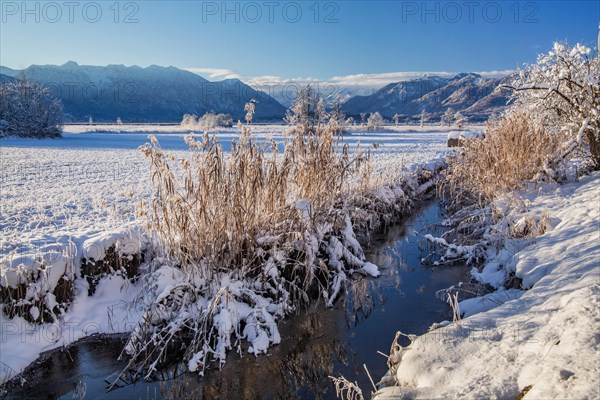 Winter landscape in the Murnauer moss with Estergebirge and Ammergau Alps