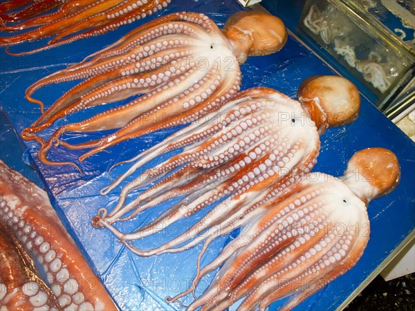 Octopus for sale at Noryangjin fish market