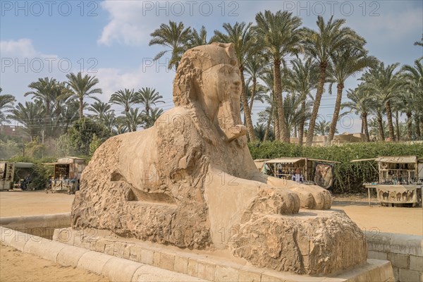 Sphinx