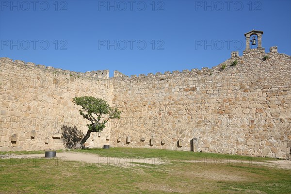 Inner courtyard with bell gable and fig tree from the castle and historic city fortification Castillo