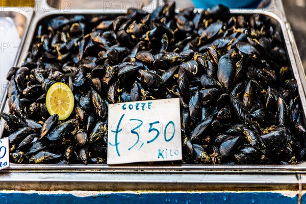 Historic fish market La pescheria with a cornucopia of colourful sea creatures