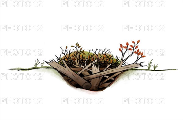 Realistic illustration of a cross-section of deadwood piles