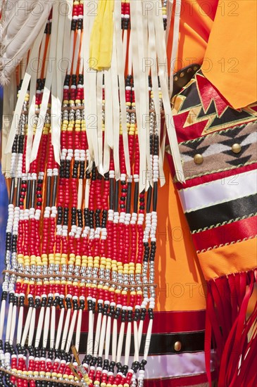 Detail of a female traditional dancer's regalia