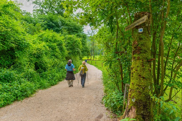 Premium hiking trail Wasserfallsteig