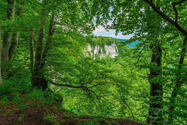 Slide rock at the premium hiking trail Urach waterfall