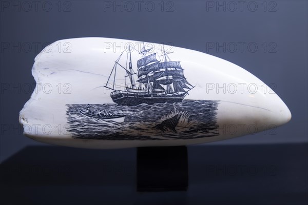 Historical drawings on a tooth of a sperm whale