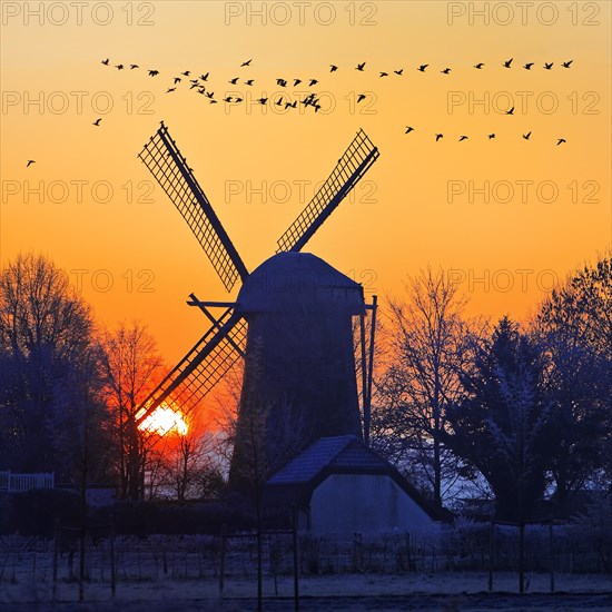 Dueffellandschaft with the windmill in Mehr at sunrise