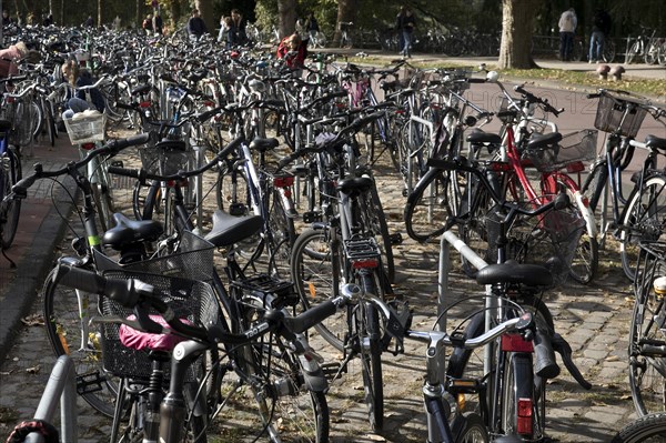 Very many bicycles