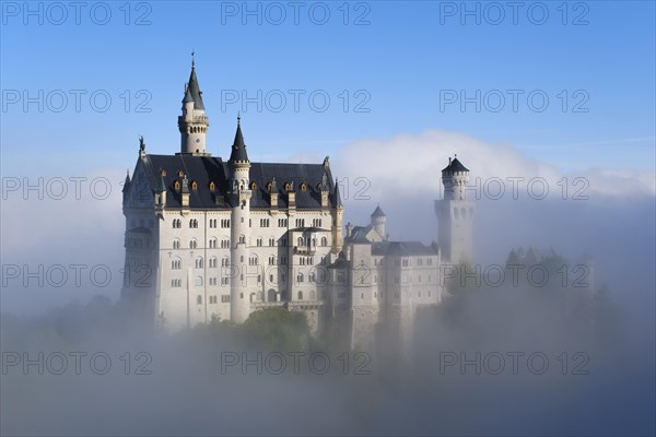 Neuschwanstein Castle in the fog