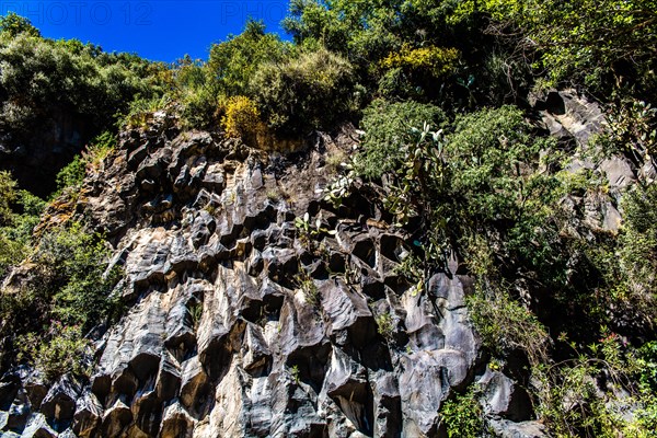 Bizarre rock formations of basalt