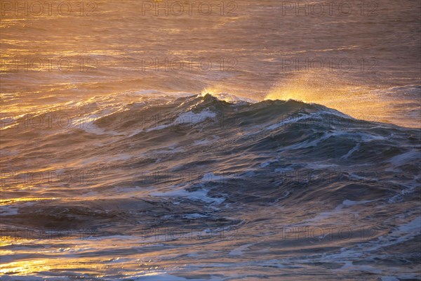 Waves of the Atlantic in the evening backlight