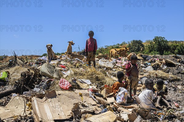 Children working in the fly dumping