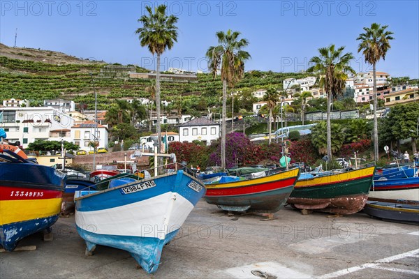 Colourful fishing boats in the harbour of Camara de Lobos