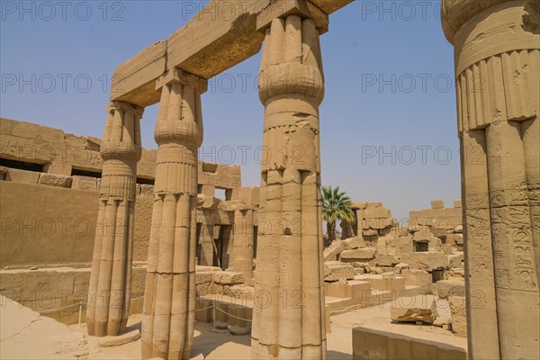 Columns