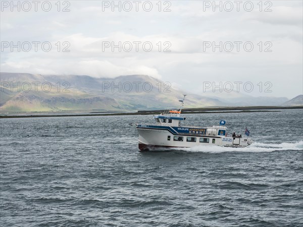 Boat for whale watching