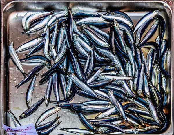 Historic fish market La pescheria with a cornucopia of colourful sea creatures