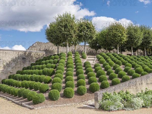 Gardens of the Renaissance Castle of Amboise