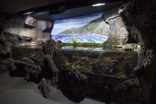 Exhibitions and aquariums at the Aquarium