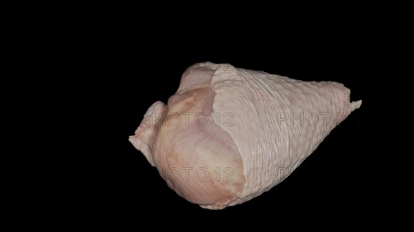 Raw turkey drumstick