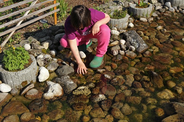 Girl observes tadpoles of the mountain newt