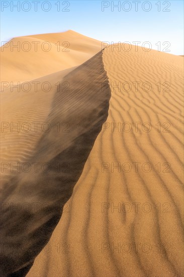 Wanderduenen in der Wueste Erg Chebbi in Suedmarokko. Merzouga