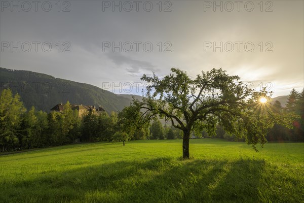 Rothenfels Castle in the evening light