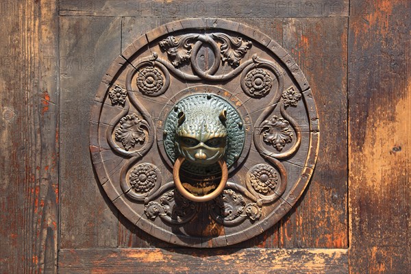 Door knocker