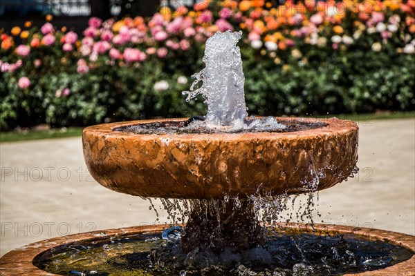 Water gushing off the fountain in the rose garden