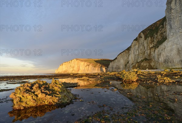 Alabaster coast with chalk cliffs near Etretat at low tide