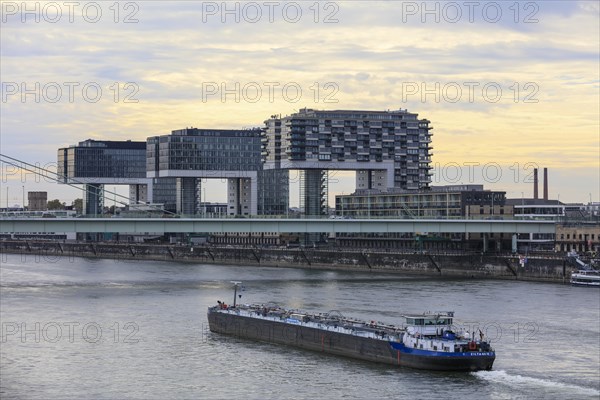 View across the Rhine to the crane houses Rheinauhafen