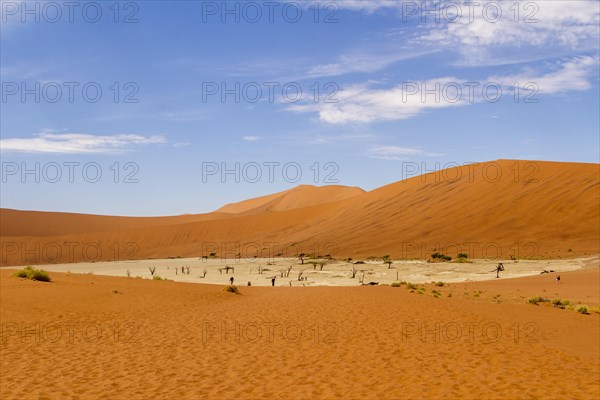 Dead Vlei