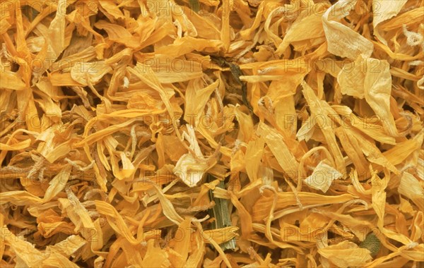 Dried marigold