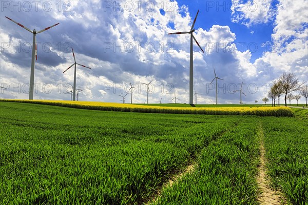 Wind turbine in a rural area