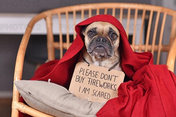 Dog with sign 'Please don't buy fireworks. I am scared' hiding under blanket on new year's eve