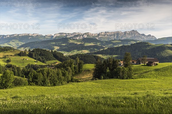 Green meadows and pastures in Appenzellerland