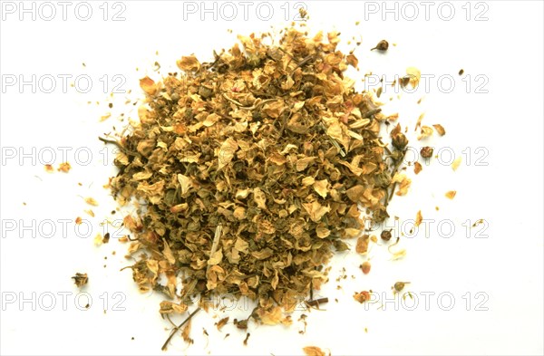 Medicinal herbs True meadowsweet